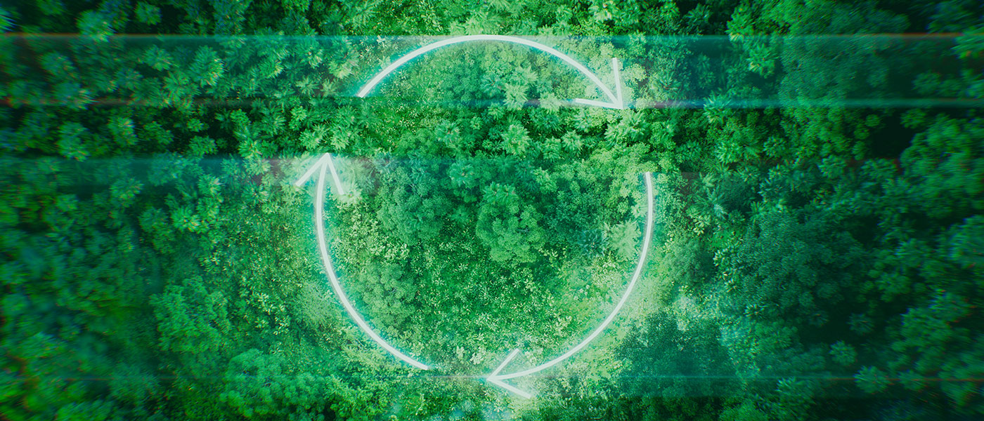Medioambiente